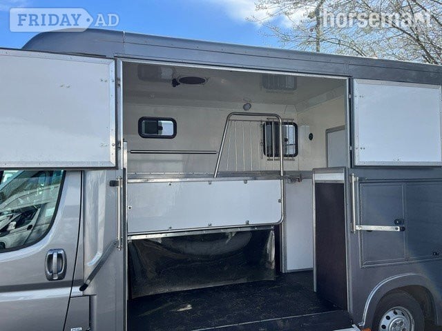 Regent Weekender Citroen Horsebox in Ellesmere Port