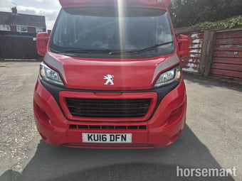 Regent  Peugeot Horsebox