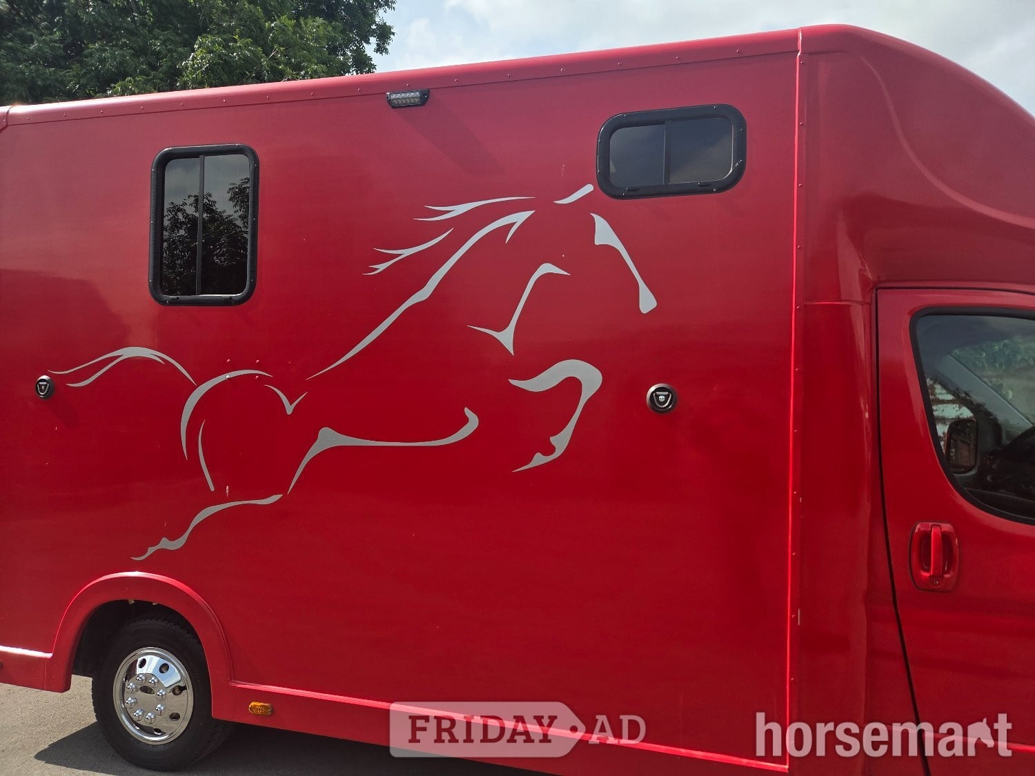 Regent  Peugeot Horsebox - Trailers & Horseboxes