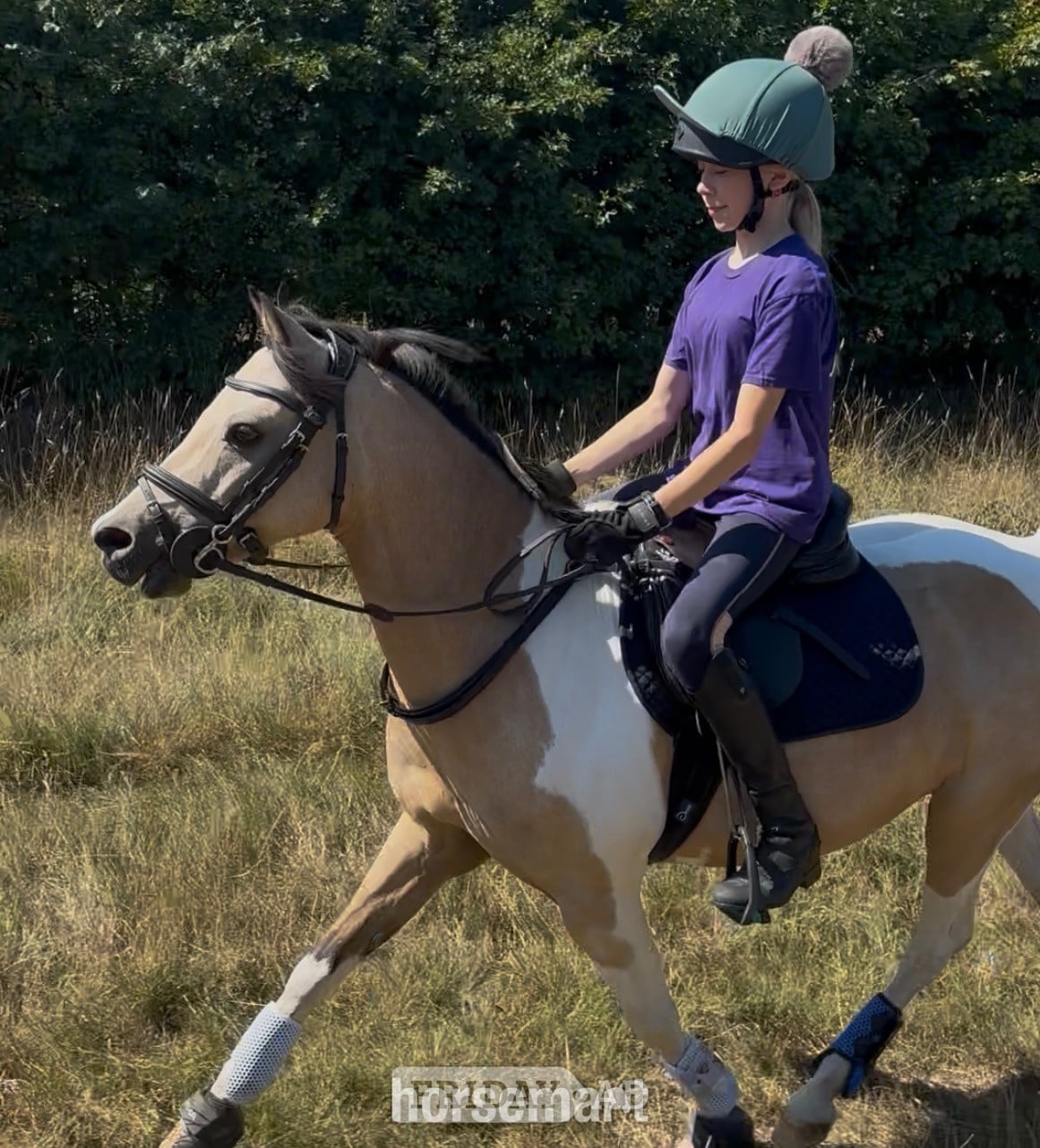 Battle "Doylan Crunchy Biscuit" Coloured Gelding Pony Club Pony