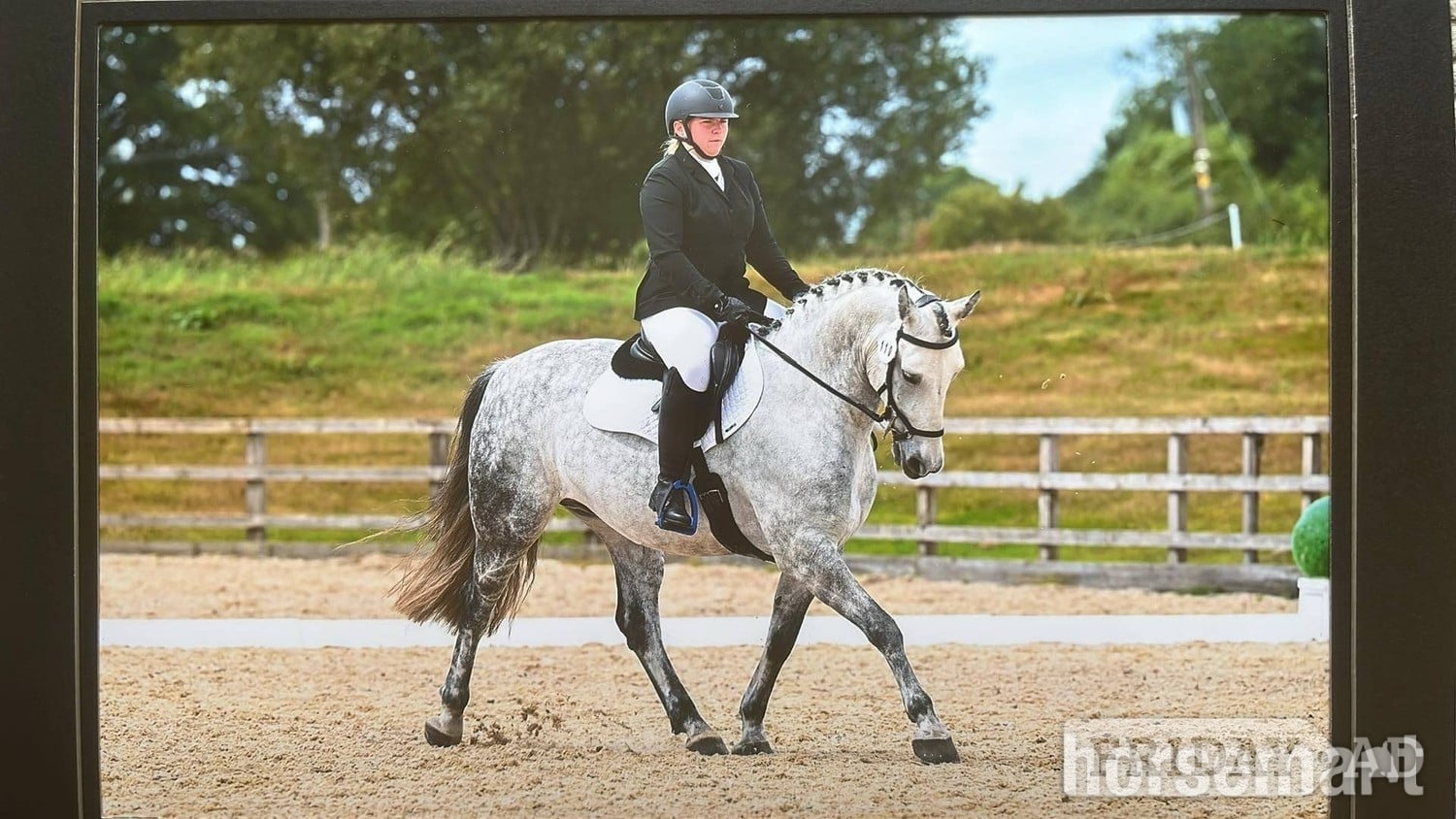 Full Loan 15.3hh Grey Gelding in Bathford