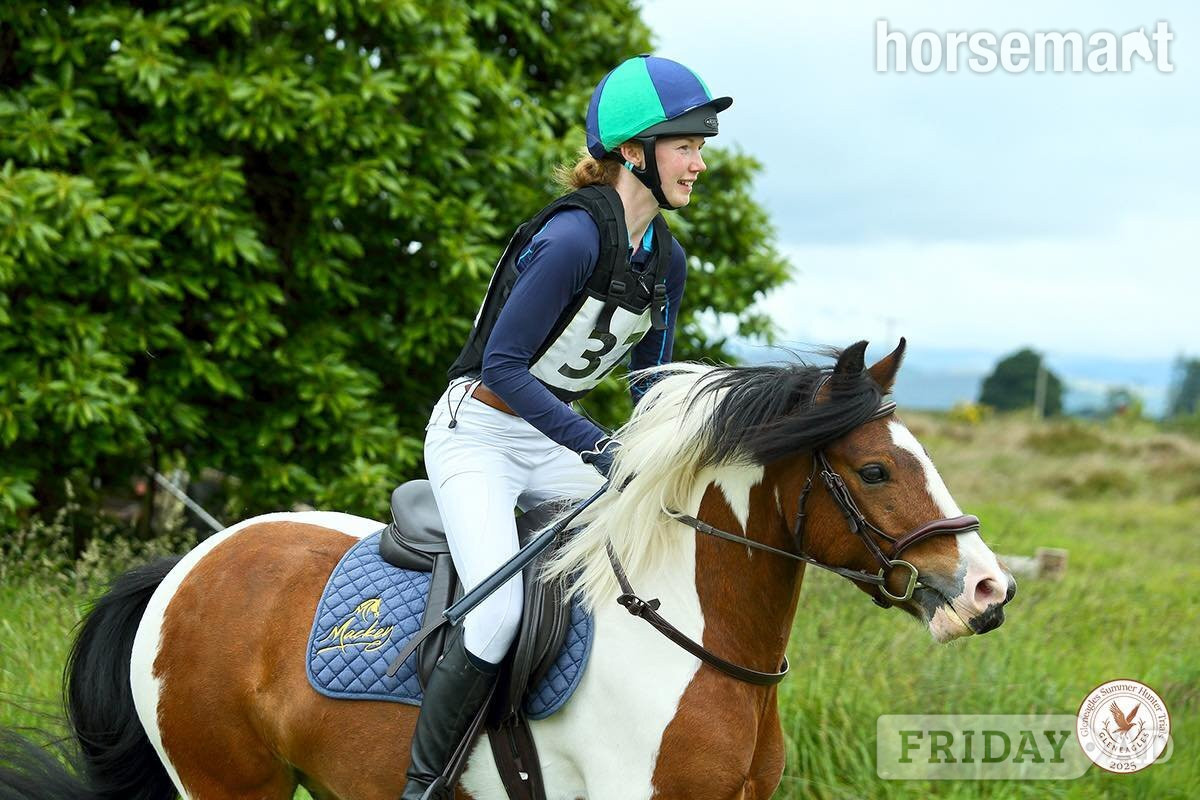 Steady Lead Rein Pony looking for little person to love him!