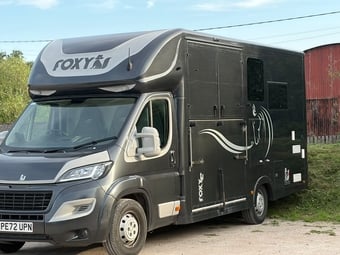 Foxy Foxy weekender Peugeot Horsebox