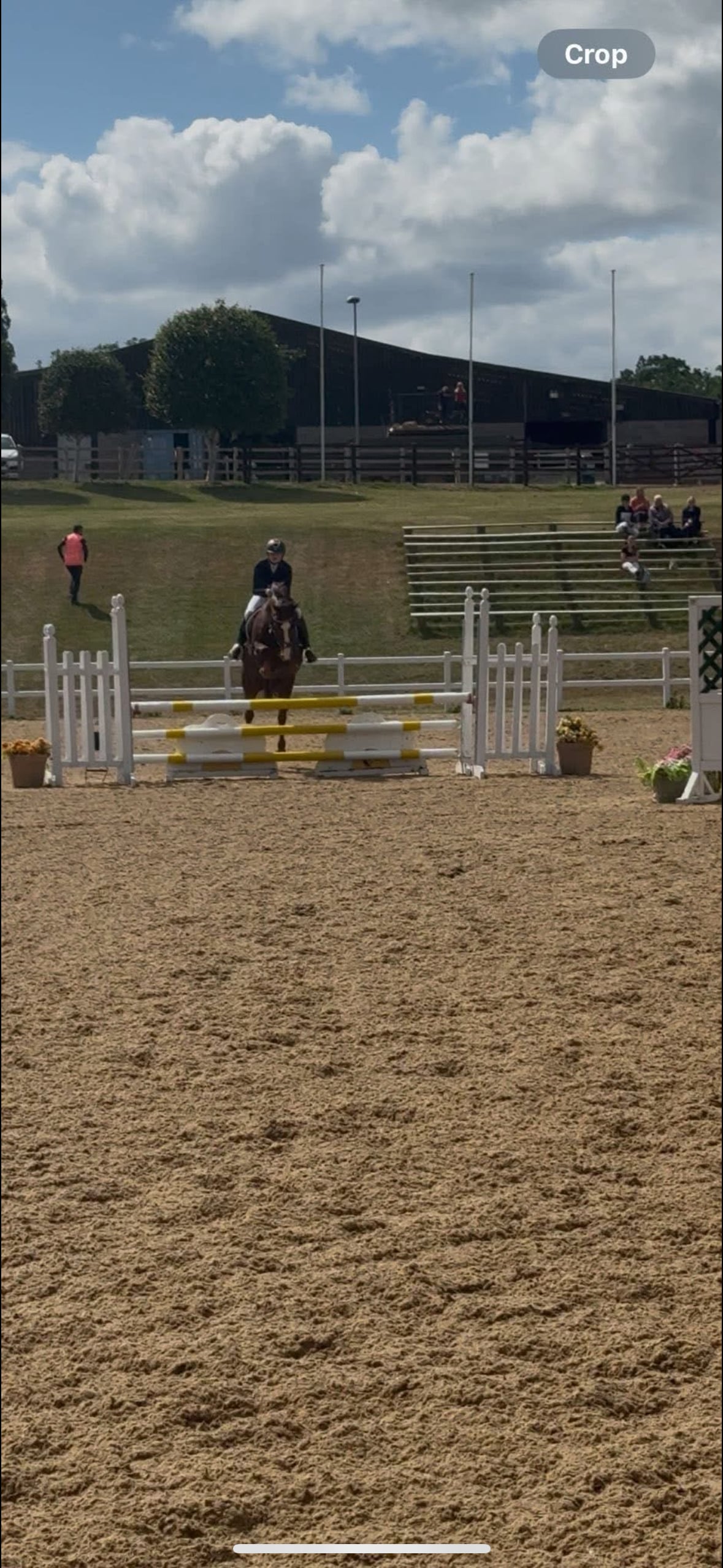 "Mabeline " Chestnut Mare All Rounder - Horses in Cheltenham