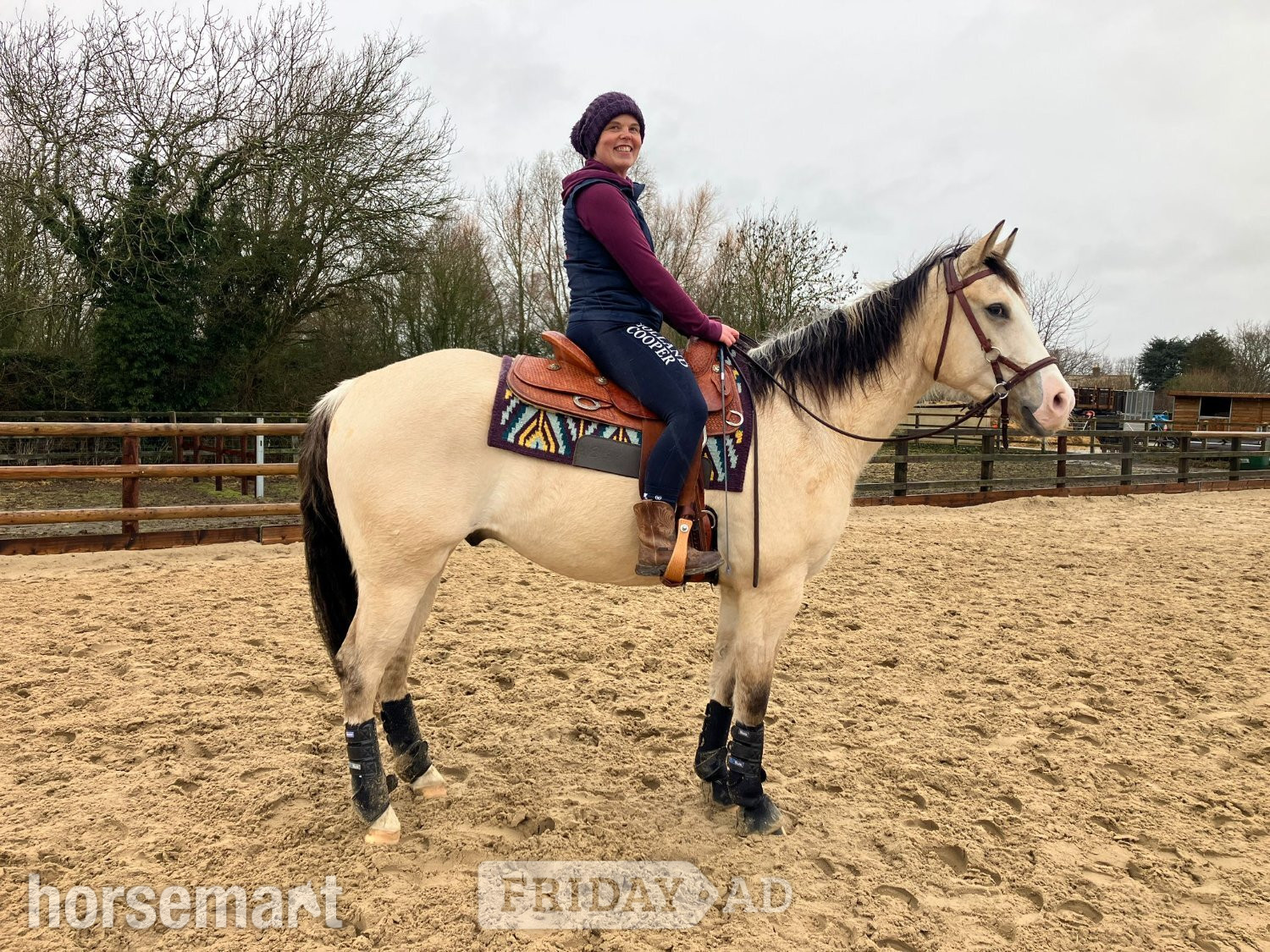 Wisbech "GTS Gunnachexmeout" Dun Gelding All Rounder