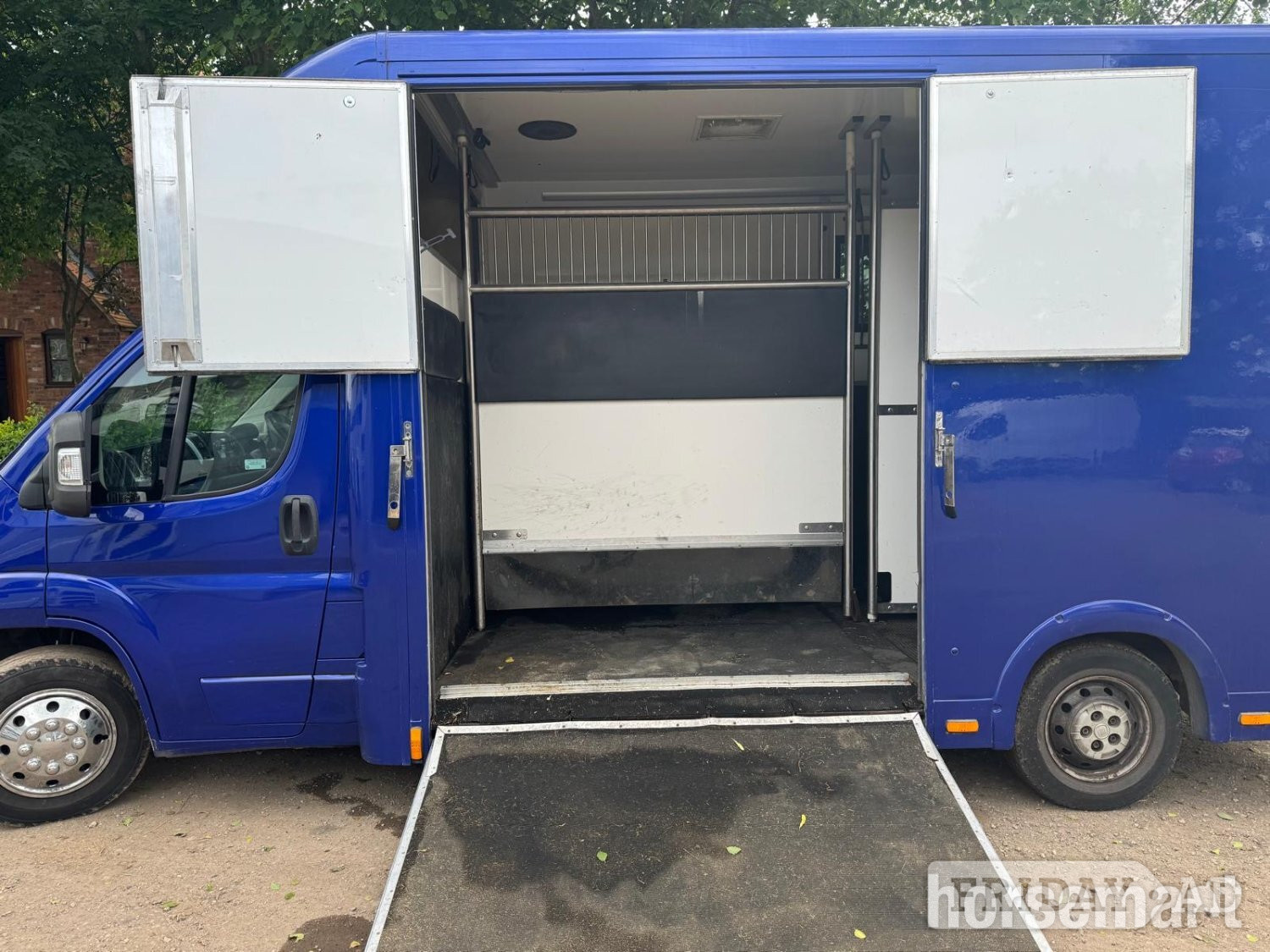 Select Pro Fiat Horsebox - Trailers & Horseboxes in Southwell