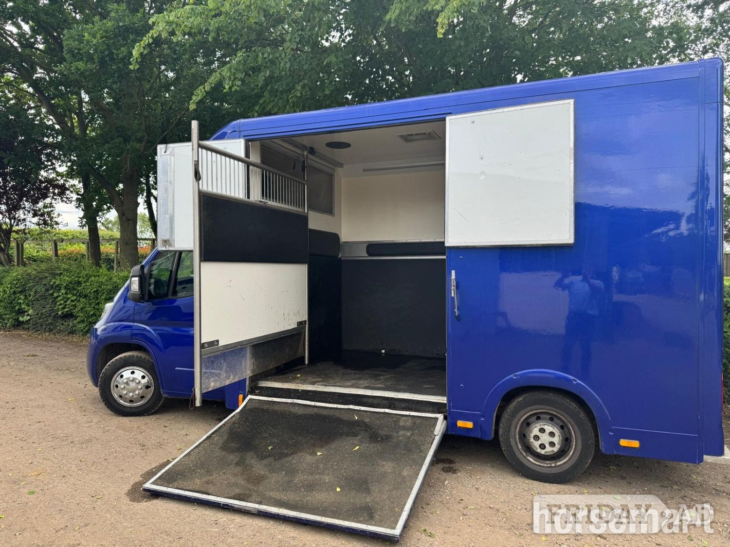 Select Pro Fiat Horsebox - Trailers & Horseboxes