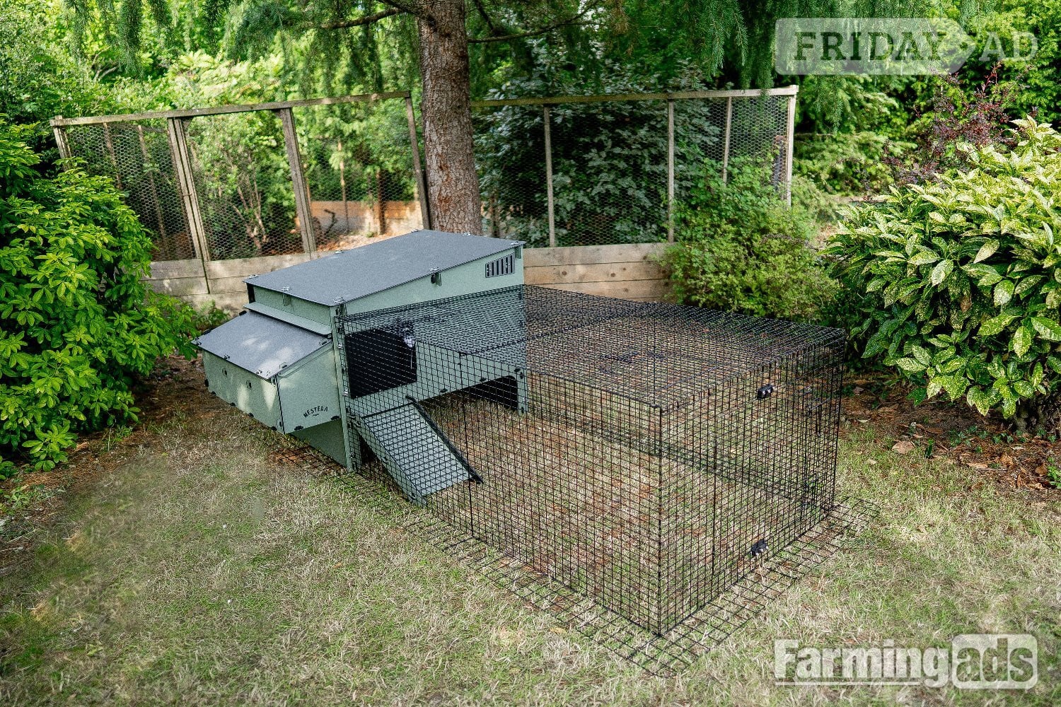 Chicken coops Nestera 100% recycled plastic