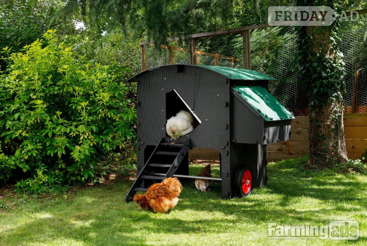 Chicken coops Nestera 100% recycled plastic -  in Leatherhead