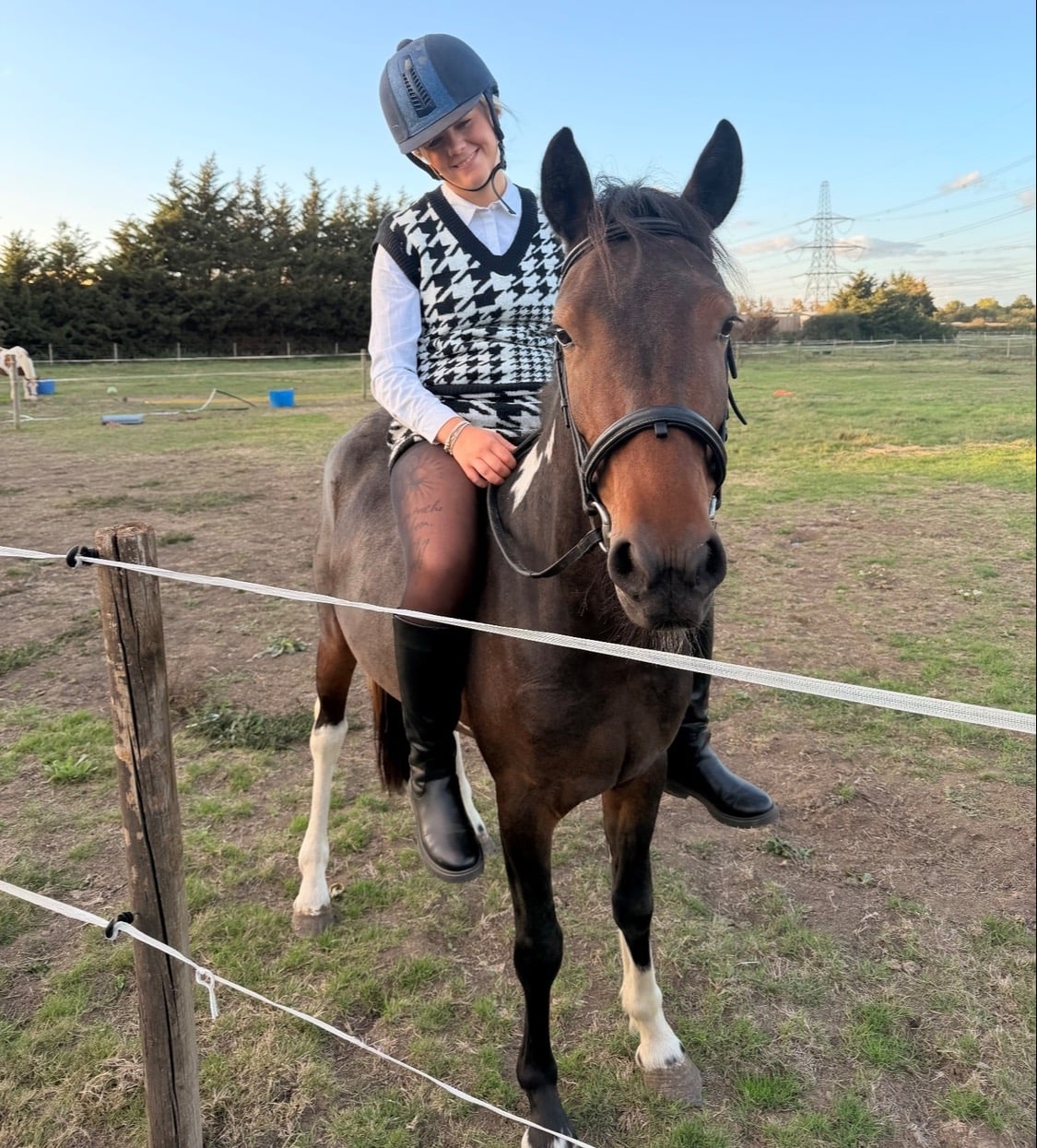 "Sherry" Skewbald Mare All Rounder