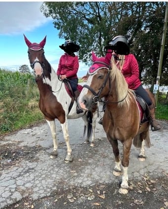 "Maisy" Skewbald Mare All Rounder