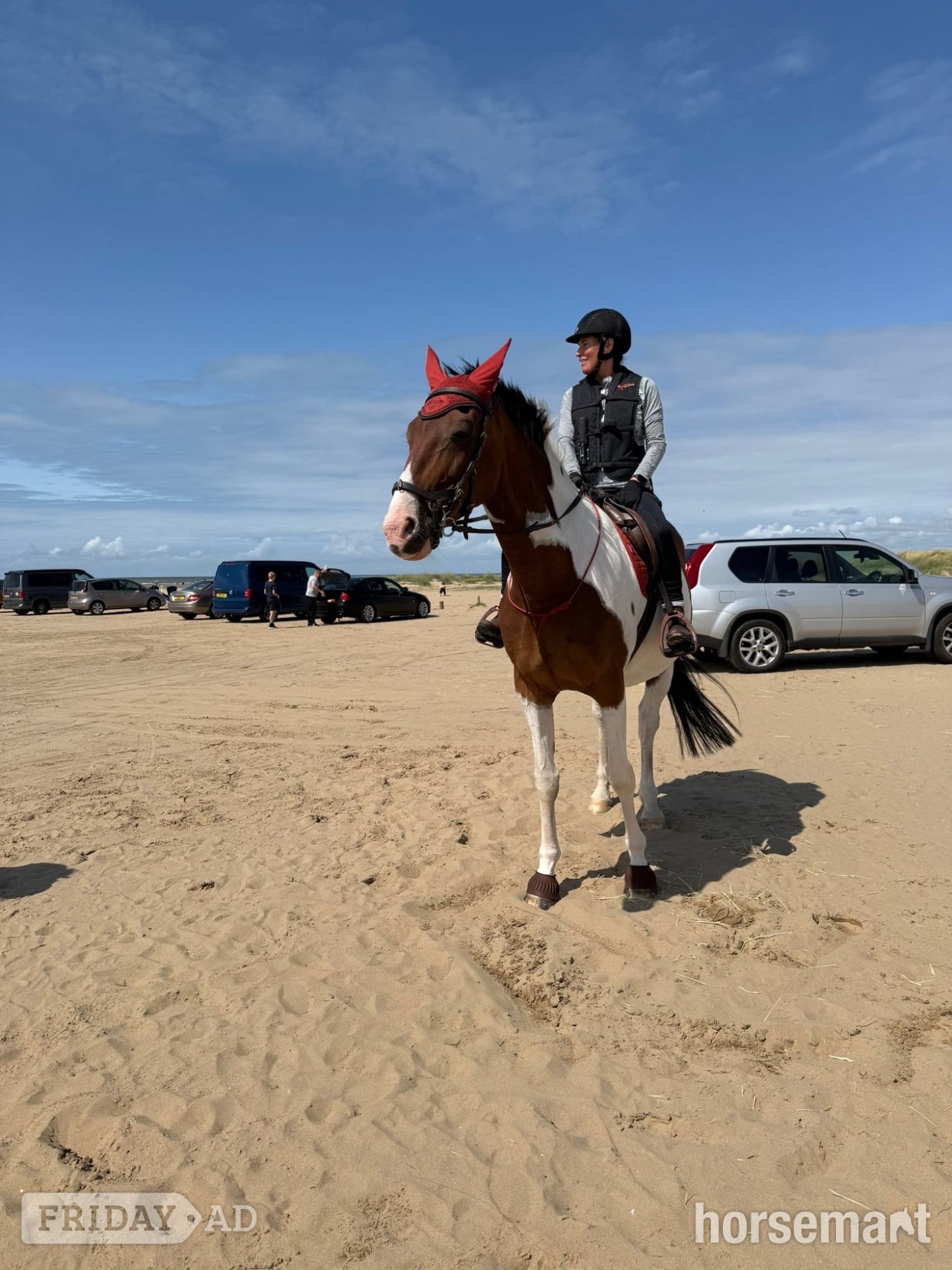Wigan "Maisy" Skewbald Mare All Rounder