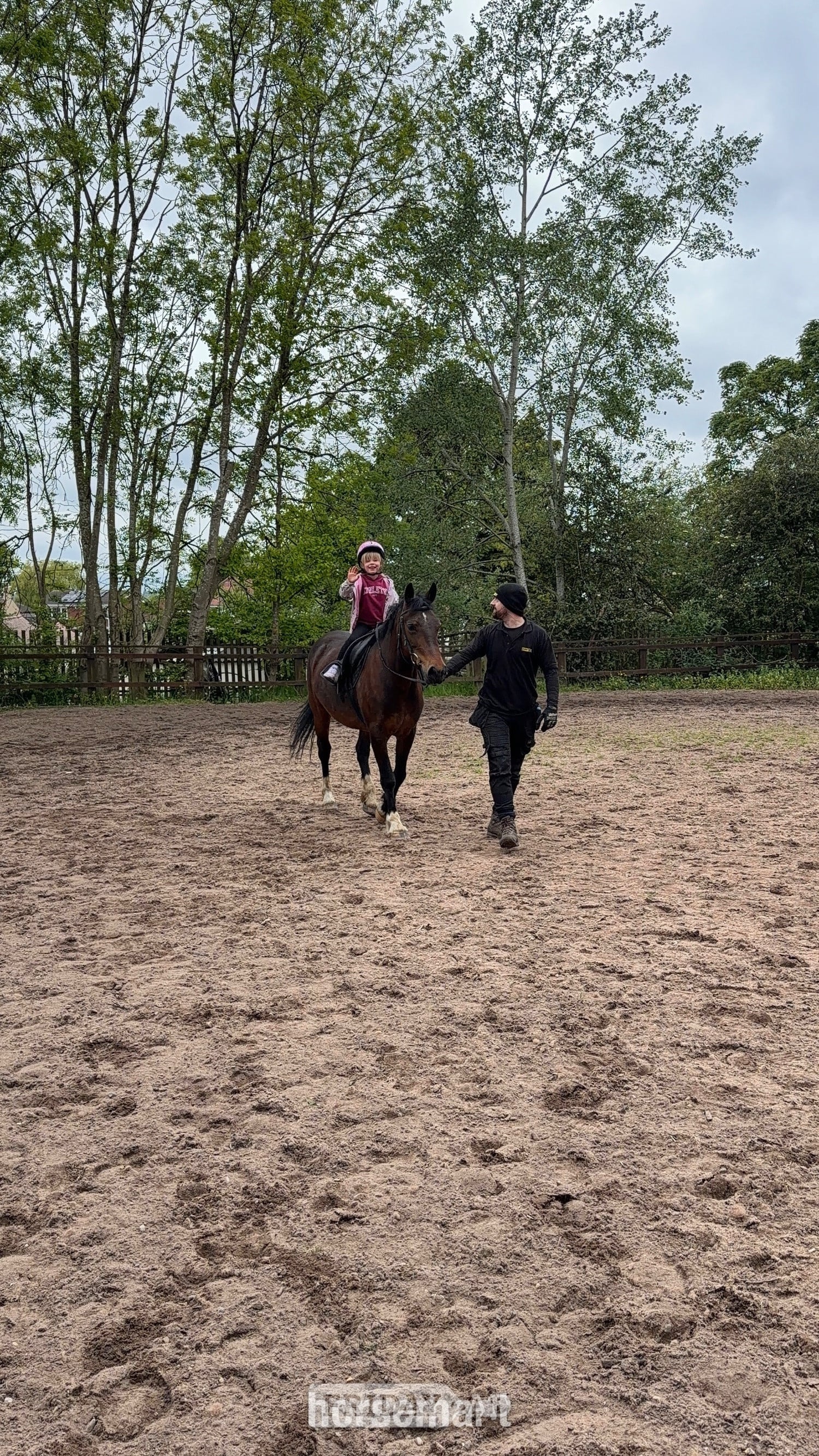 14’2 Welsh D mare - Full loan  - Horses in Stanley Common