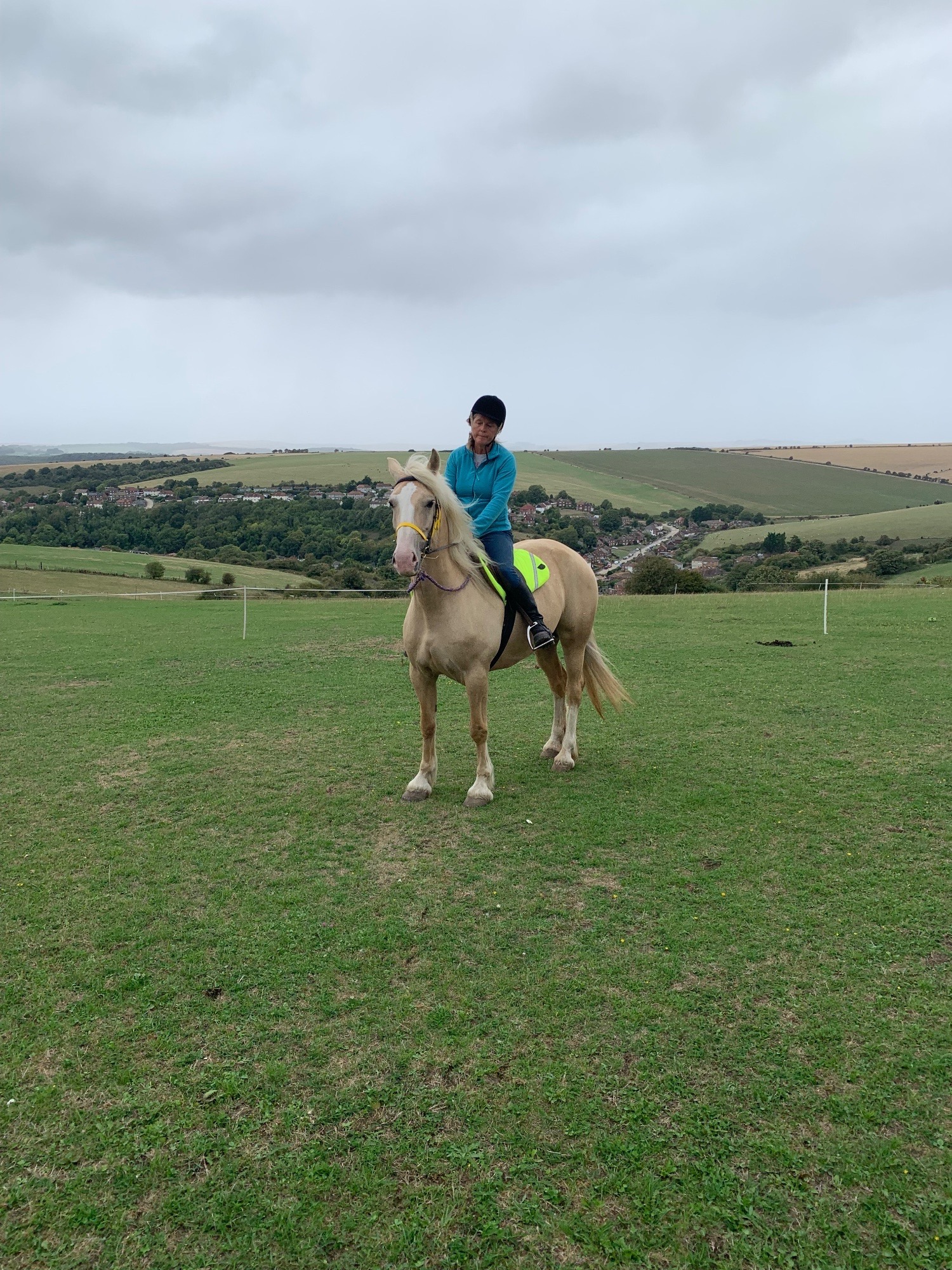 Brighton "Savannah" Palomino Mare All Rounder
