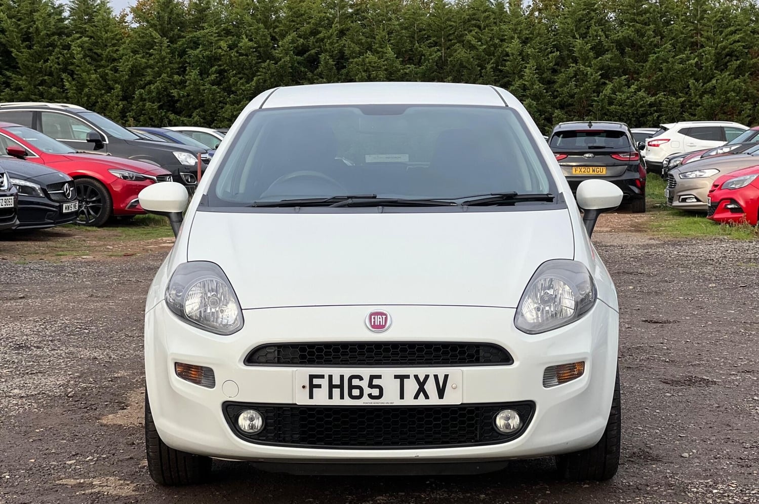 [ berth ]Fiat Punto