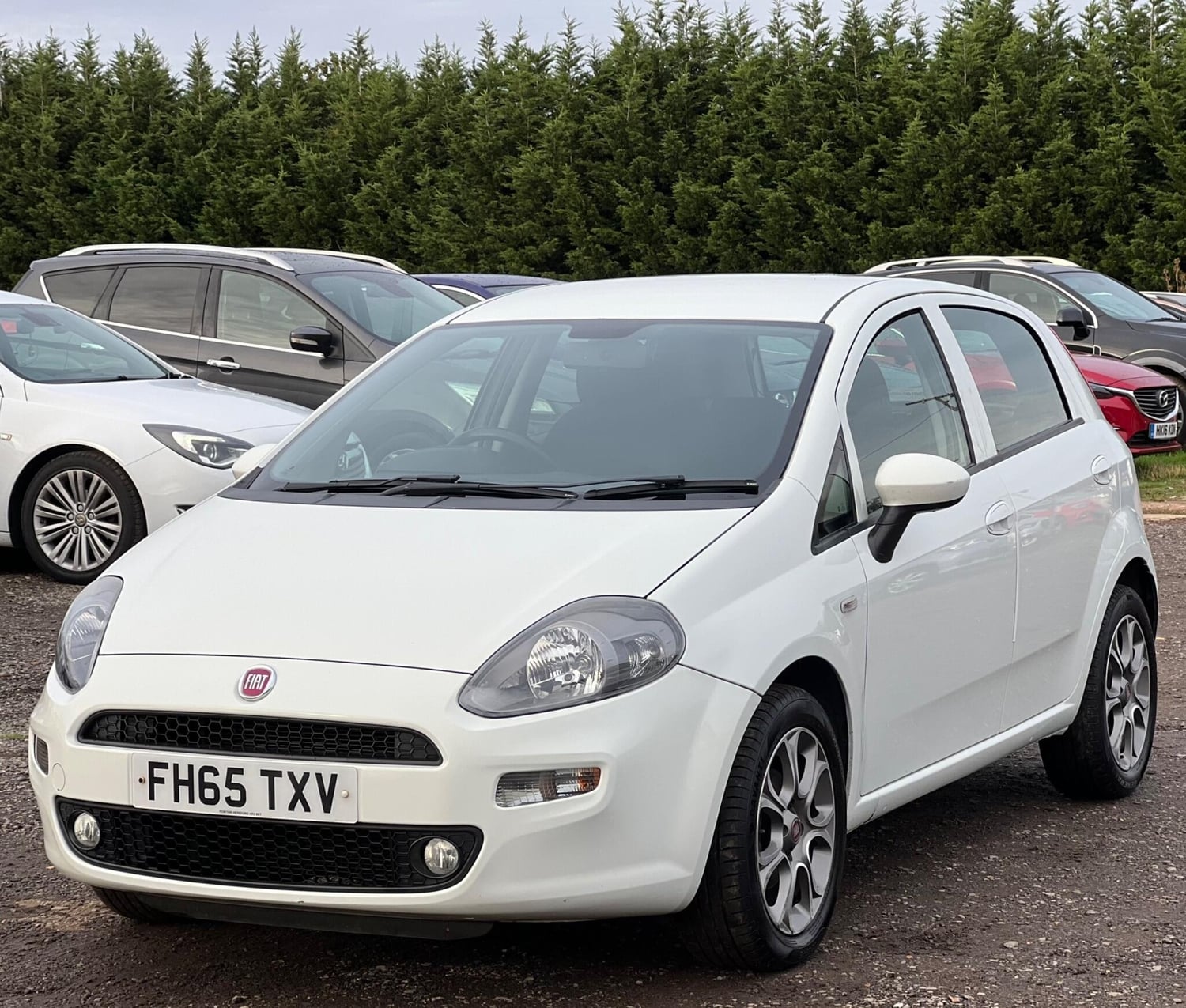 Fiat Punto 2015 - Cars