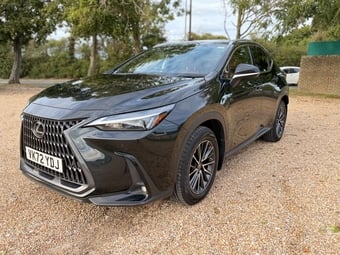 Lexus NX 2022