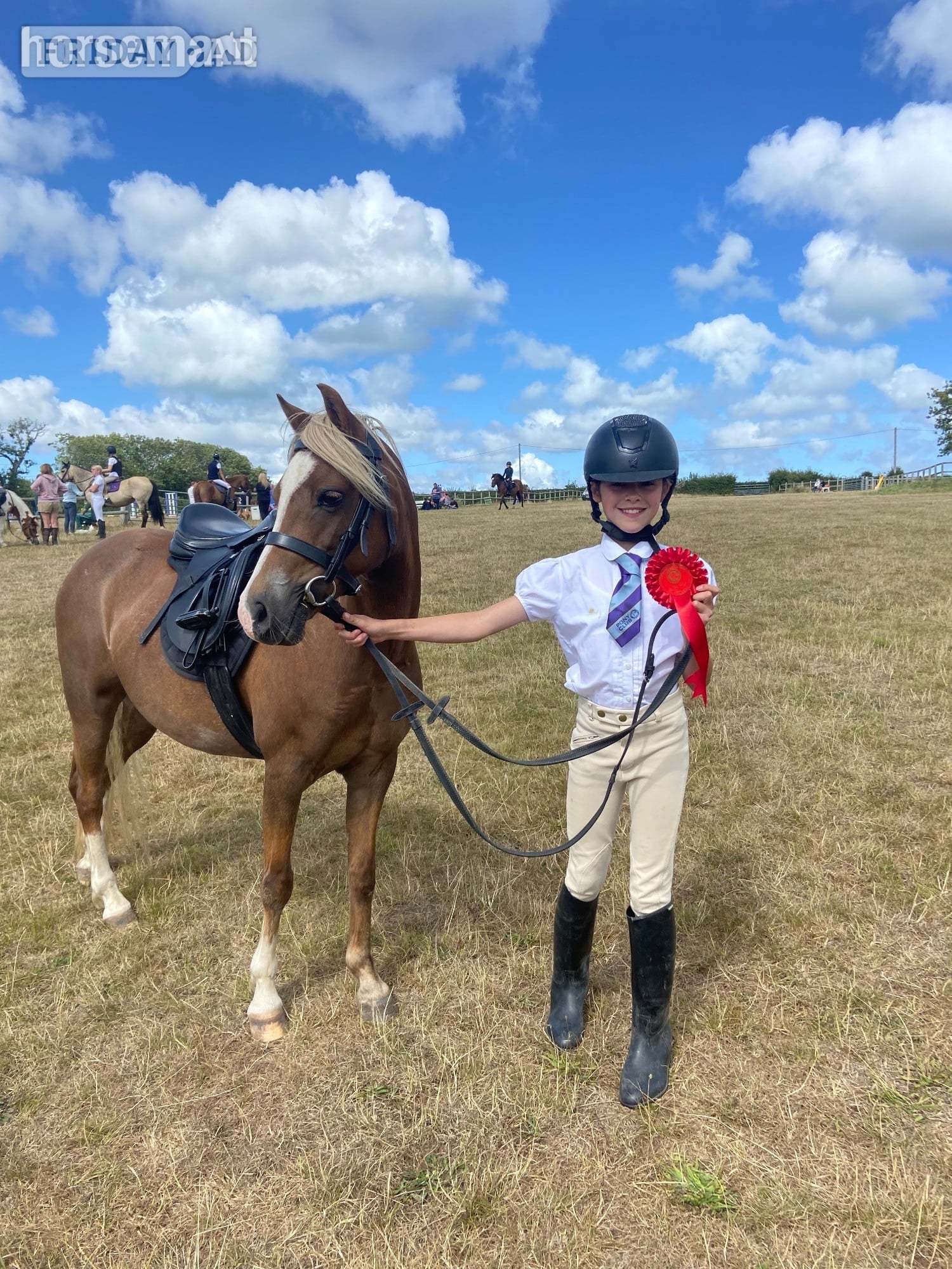 Carisbrooke "Elsa " Liver Chestnut Mare Pony Club Pony