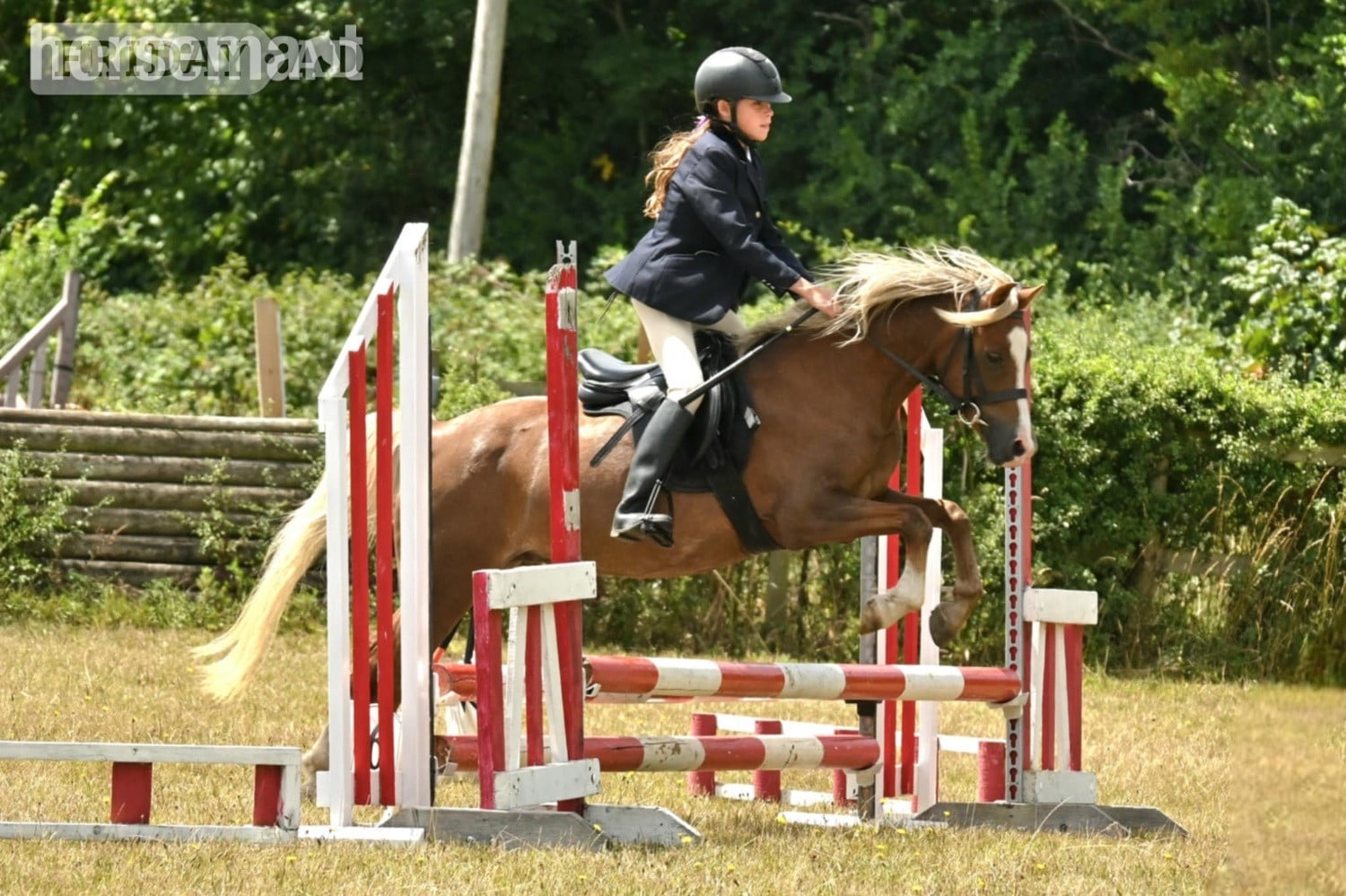"Elsa " Liver Chestnut Mare Pony Club Pony