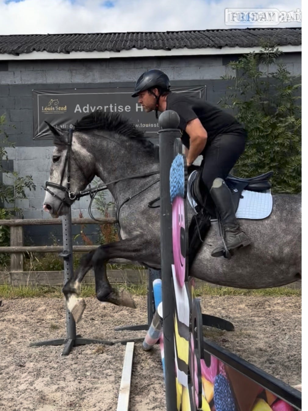 "Powerswood Purple Lily" Grey Mare All Rounder