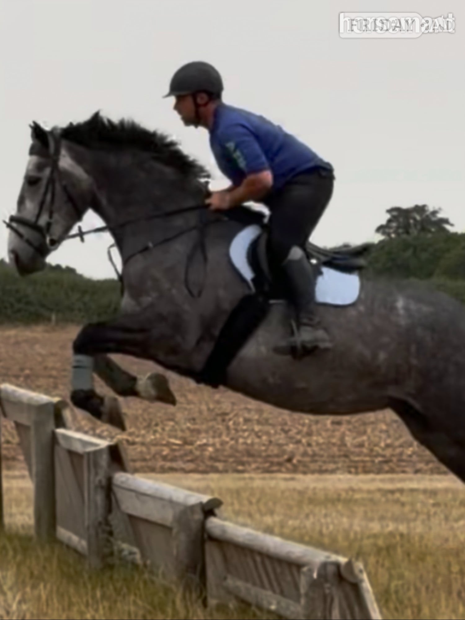 Horncastle "Powerswood Purple Lily" Grey Mare All Rounder
