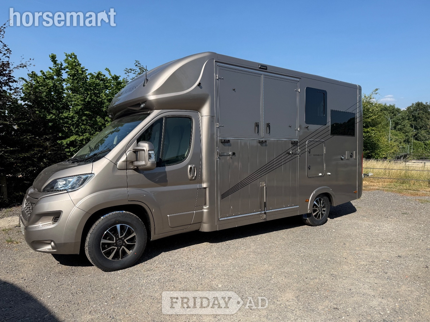 I.C.E Dynamic Citroen Horsebox in Carshalton