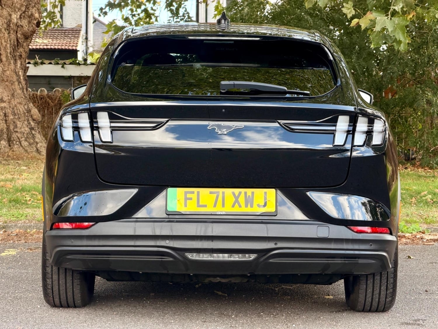 [ berth ]Ford Mustang Mach-E
