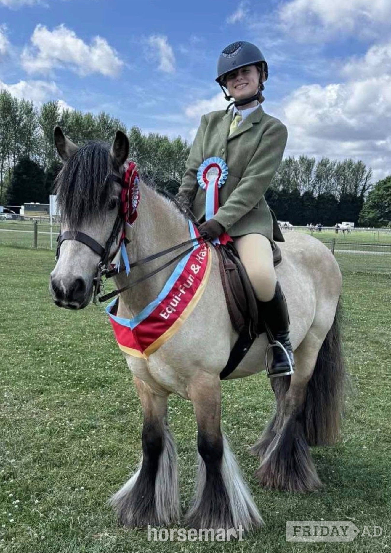 "Rodger " Dun Gelding Family Horse