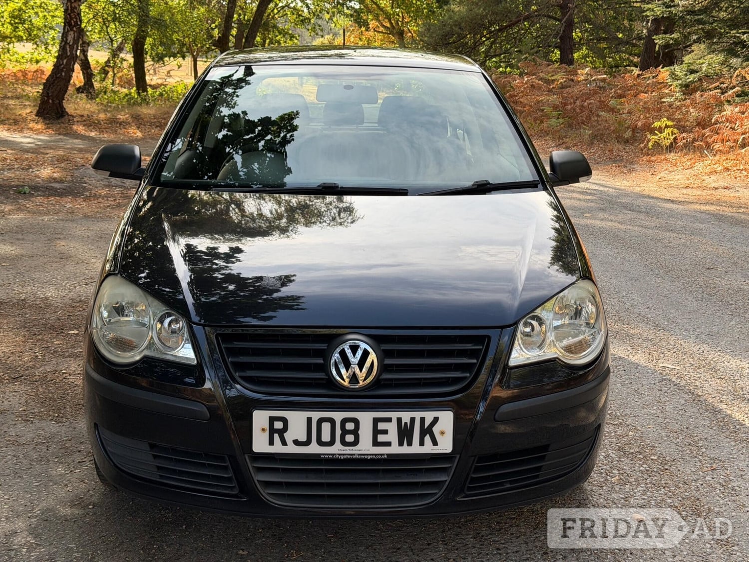 Volkswagen Polo 2008 - Cars