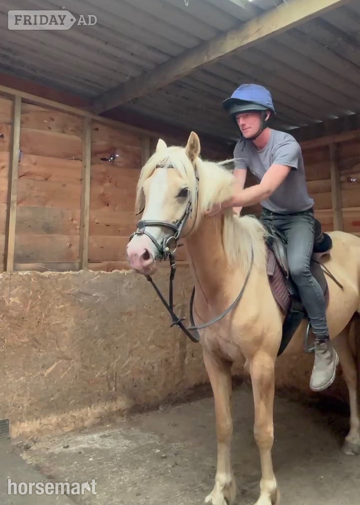 "Tresorya Barnum " Palomino Gelding Project Horse - Horses