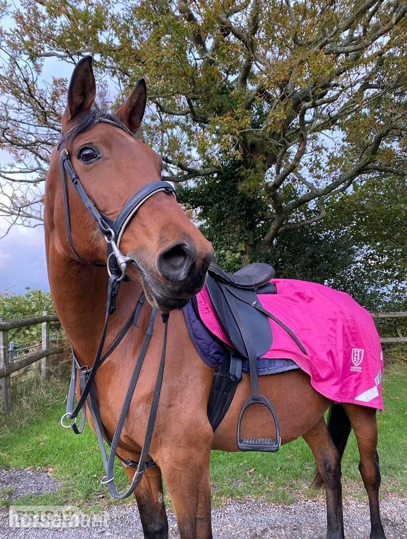 Sharer required for beautiful hacking on the Ashdown Forest 