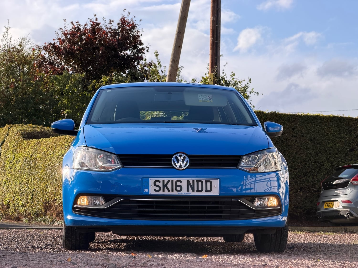 Volkswagen Polo 2016 - Cars