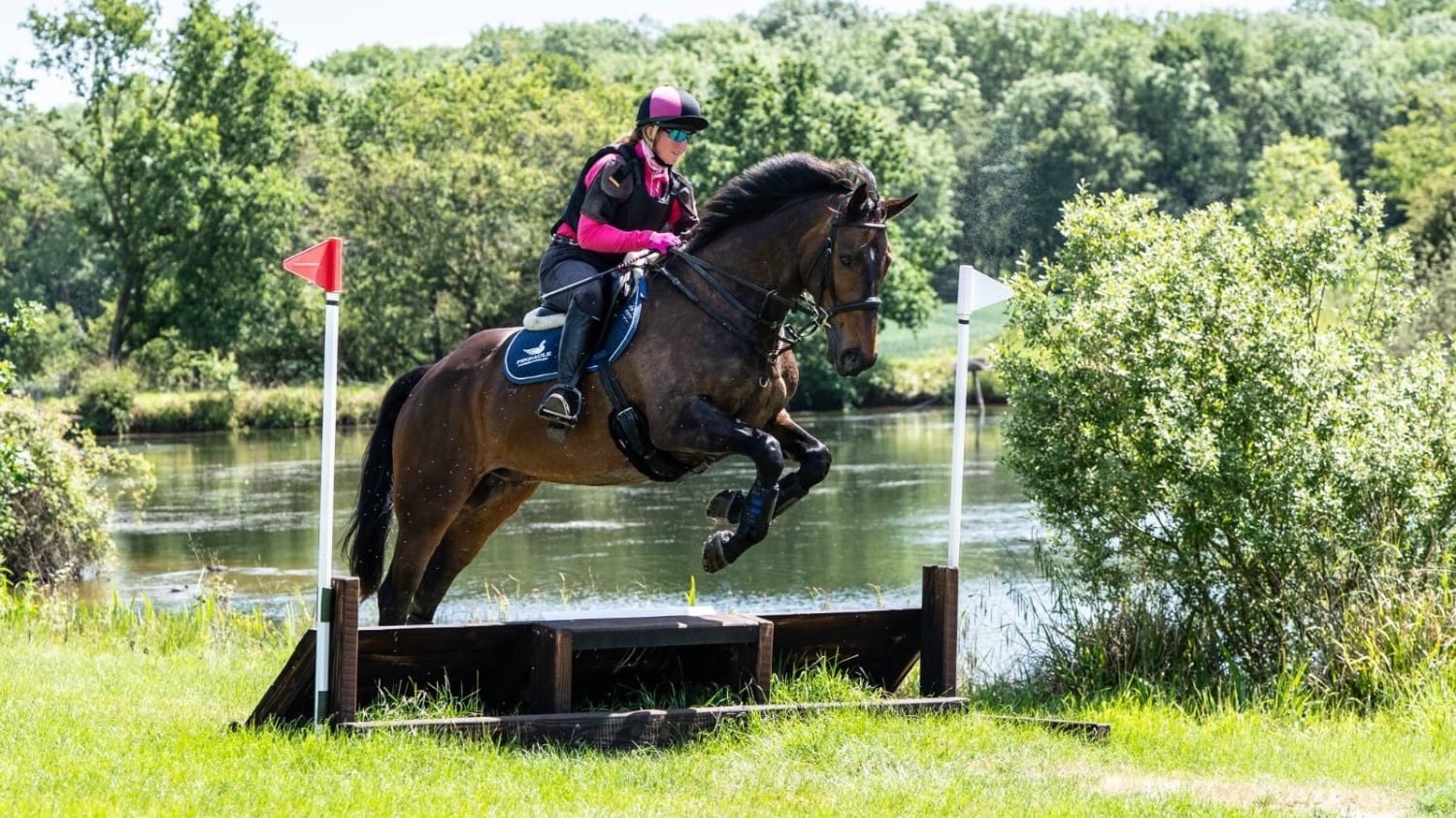 "ROCKIN RUBEN " Bay Gelding All Rounder