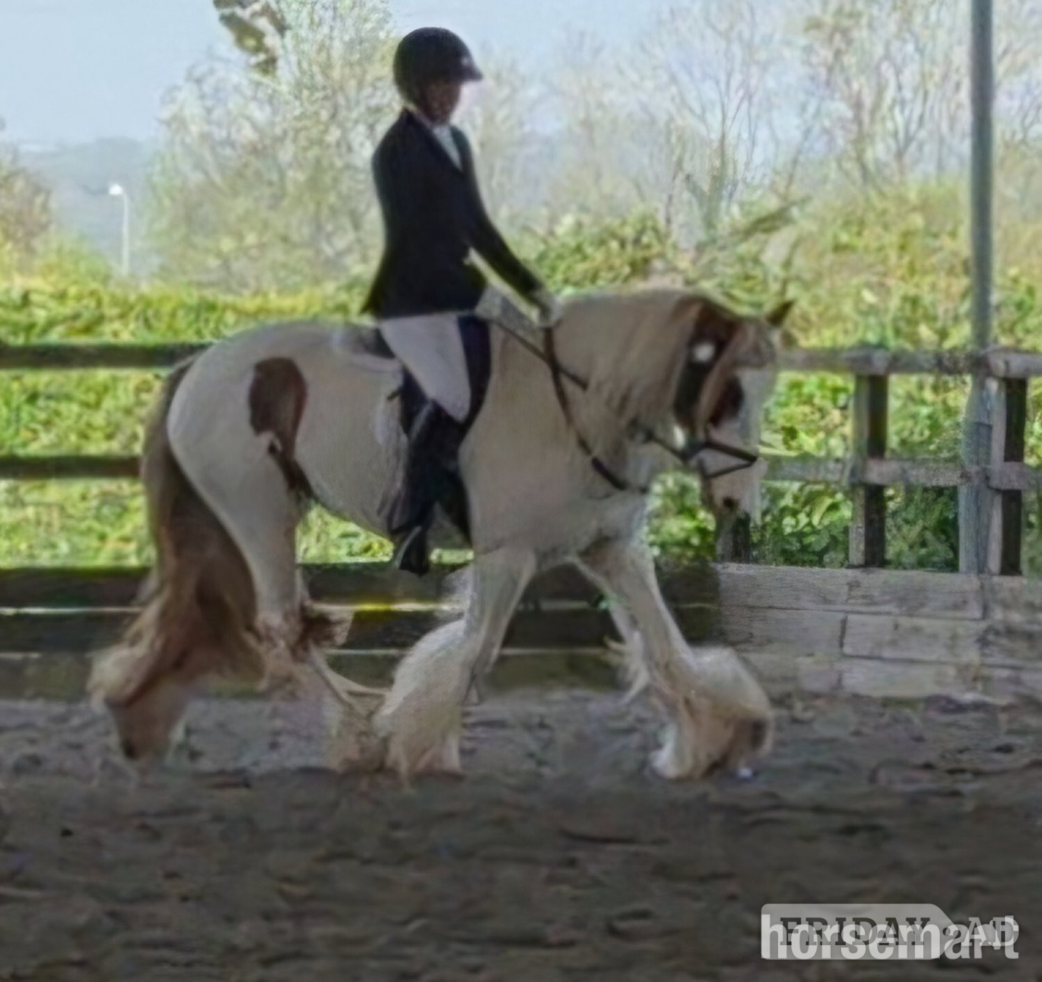 Wolverhampton "Pippi" Skewbald Mare All Rounder