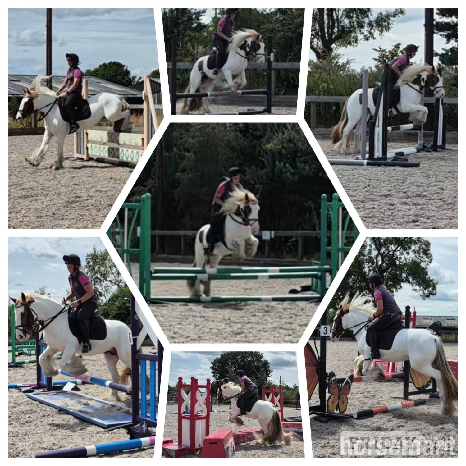 Wolverhampton "Pippi" Skewbald Mare All Rounder
