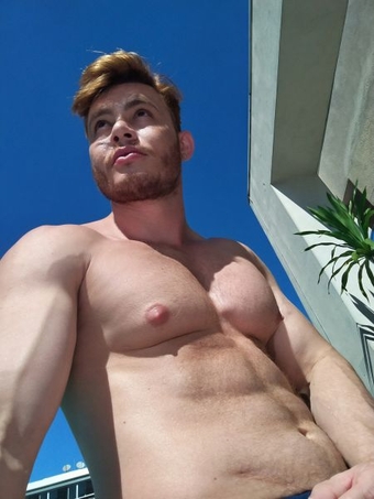 DennyHotBrazilia