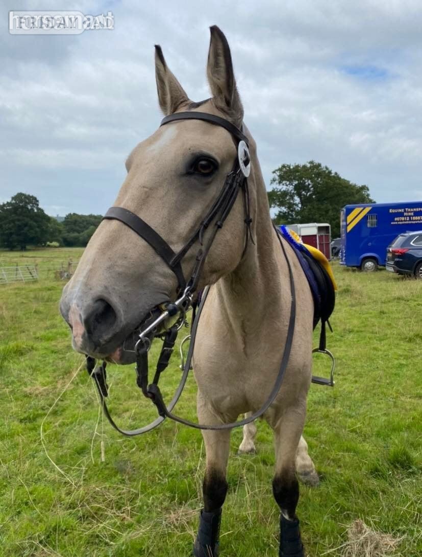 Sharer required for beautiful hacking on the Ashdown Forest 
