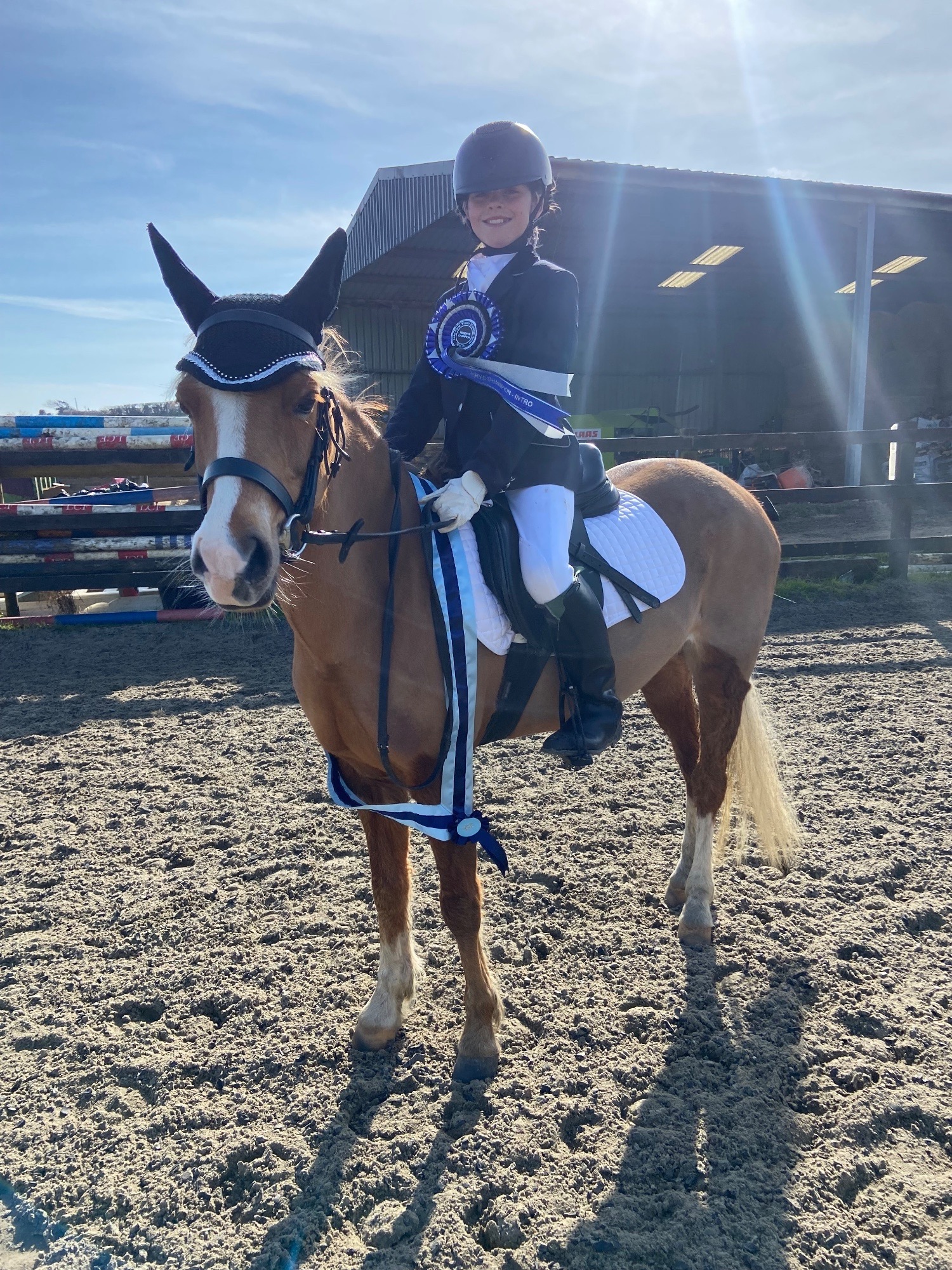 "Elsa (Treflan Cadi) " Chestnut Mare All Rounder