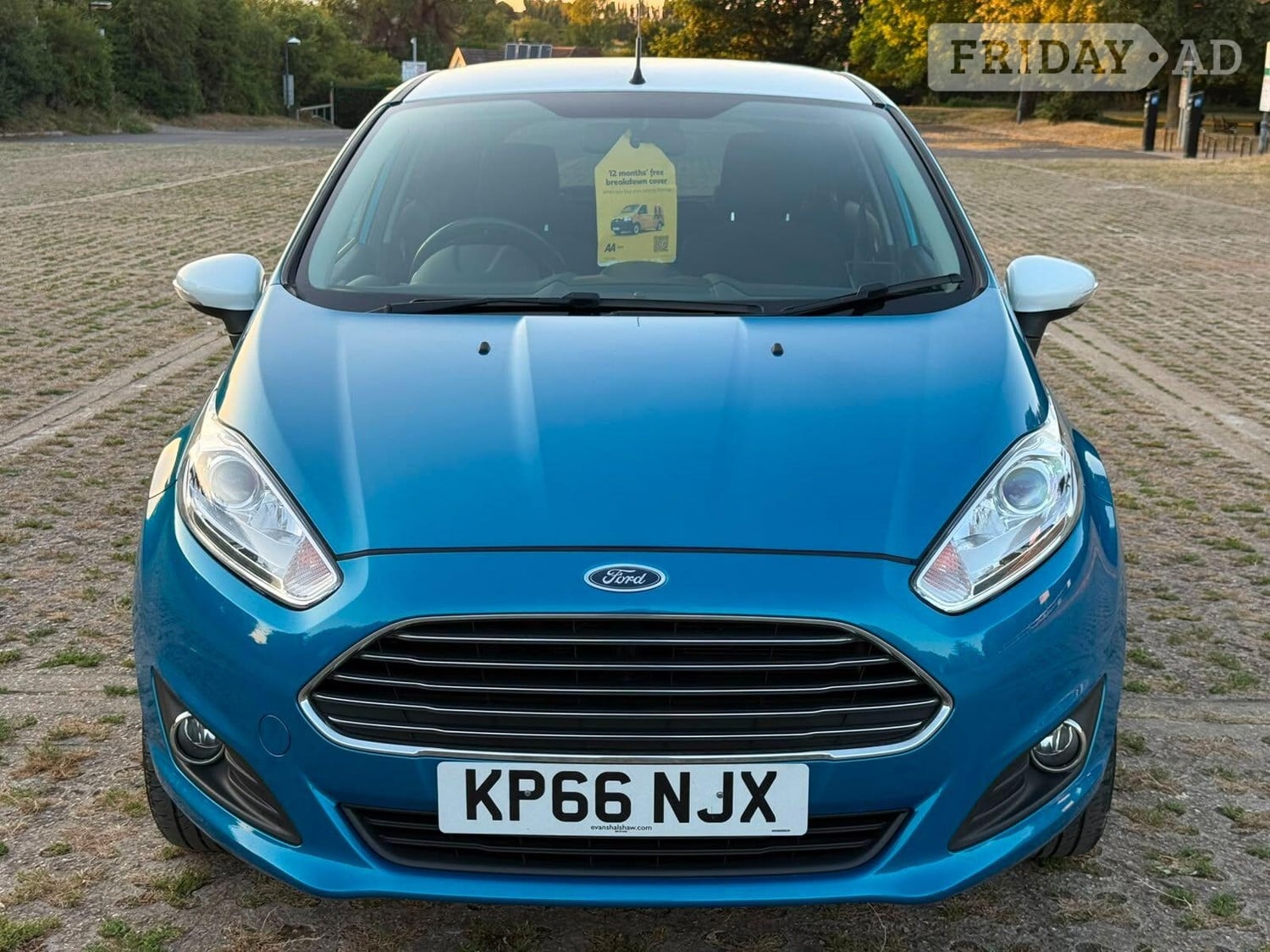 Ford Fiesta Swanley
