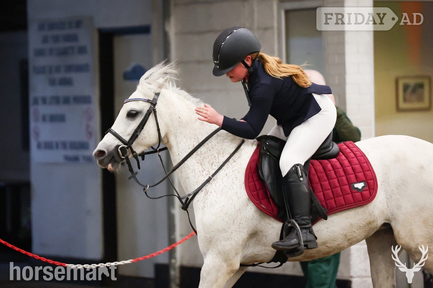 Stirling "Millie " Grey Mare All Rounder