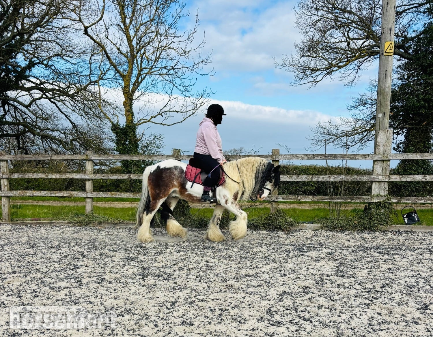 Confident adult/teenager - part loan  - Horses in Thaxted