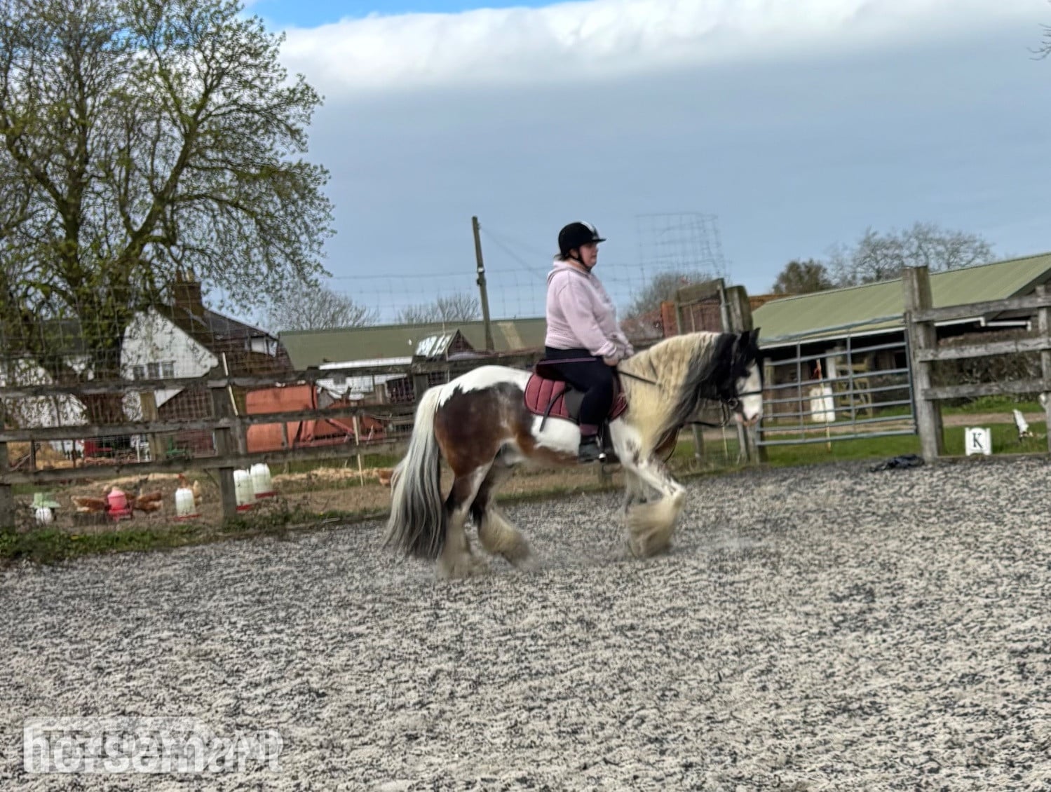 Confident adult/teenager - part loan  - Horses