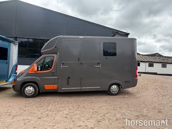 Foxy Stallion Peugeot Horsebox