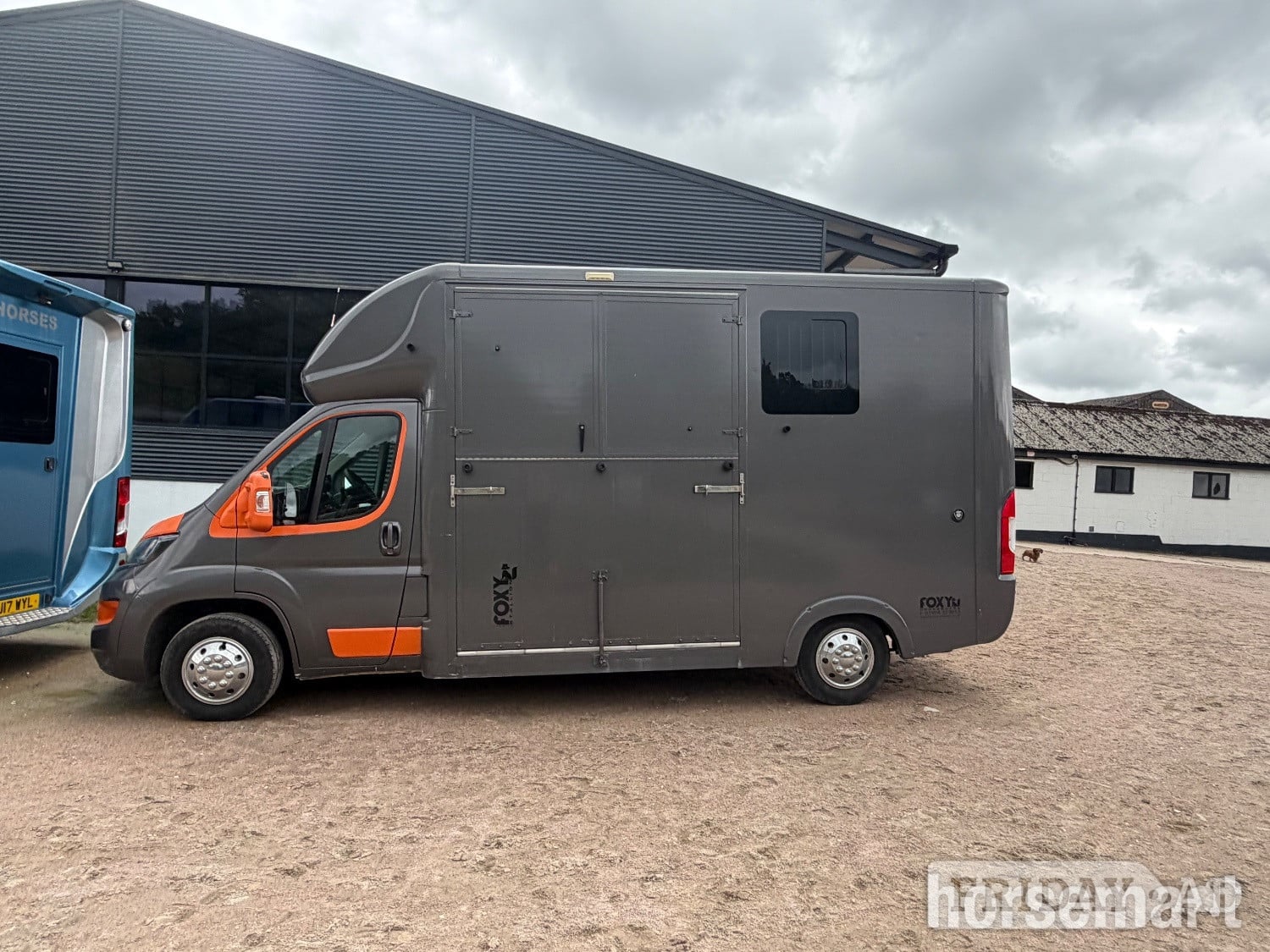 Foxy Stallion Peugeot Horsebox in Warninglid