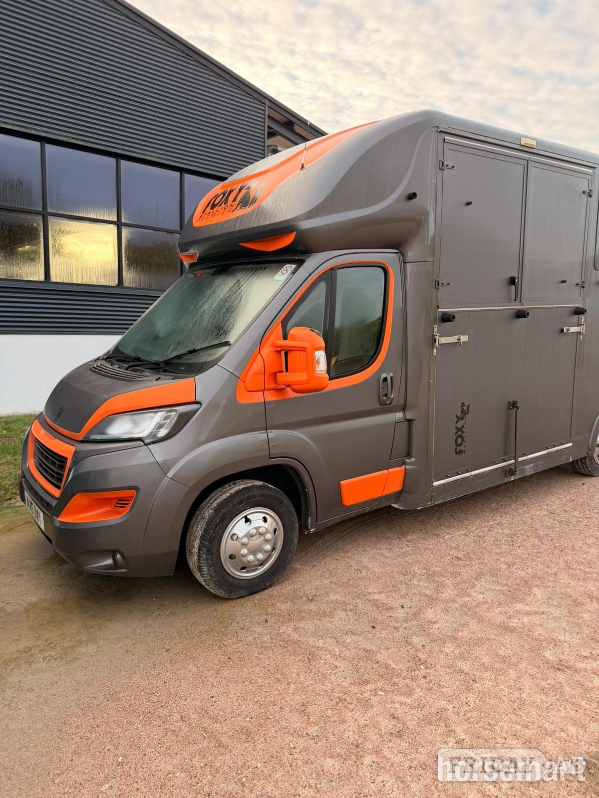 Foxy Stallion Peugeot Horsebox - Trailers & Horseboxes in Warninglid