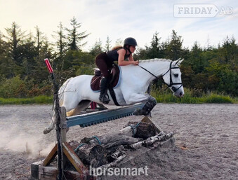 "Destiny: quiet, easy and forgiving ideal mother/daughter share" White Mare All Rounder