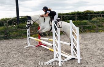 "Destiny: trustworthy, easy and forgiving ideal mother/daughter share" White Mare All Rounder