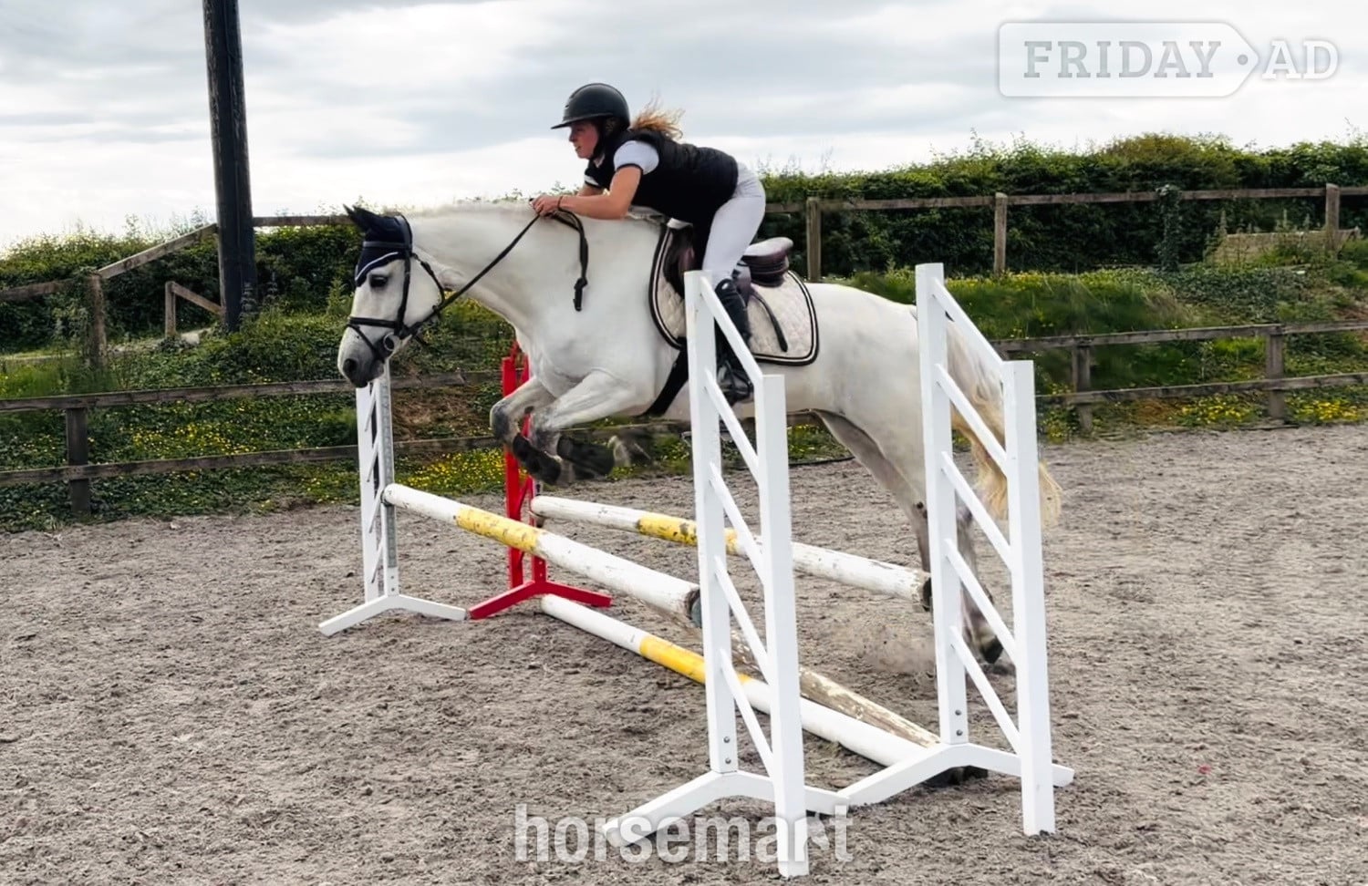 "Destiny: trustworthy, easy and forgiving ideal mother/daughter share" White Mare All Rounder in Raheen