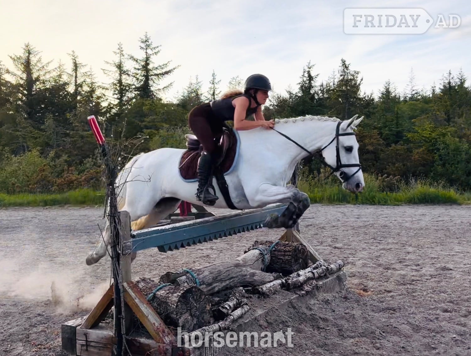 "Destiny: trustworthy, easy and forgiving ideal mother/daughter share" White Mare All Rounder - Horses in Raheen