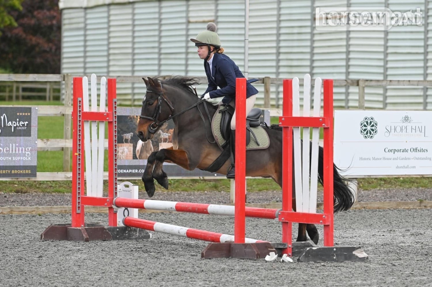 "Barney" Bay Gelding All Rounder in Westerham